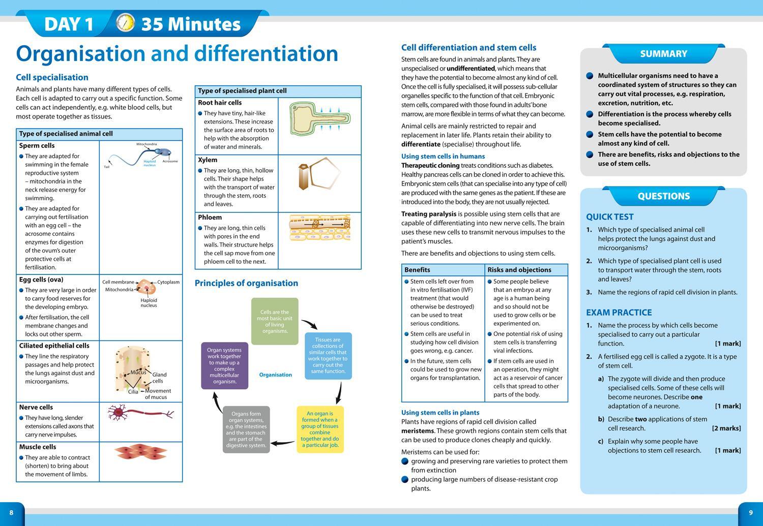 Bild: 9780008276072 | GCSE 9-1 Combined Science In Two Weeks | Collins Gcse | Taschenbuch