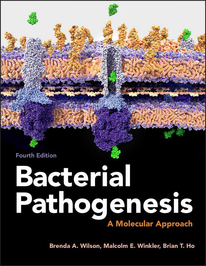 Cover: 9781555819408 | Bacterial Pathogenesis | A Molecular Approach | Wilson (u. a.) | Buch