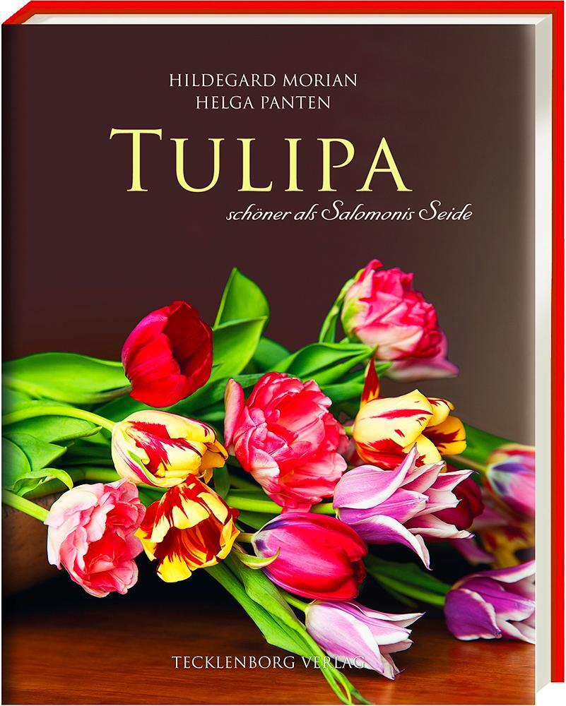 Cover: 9783944327099 | Tulipa | schöner als Salomonies Seide | Hildegard Morian (u. a.)