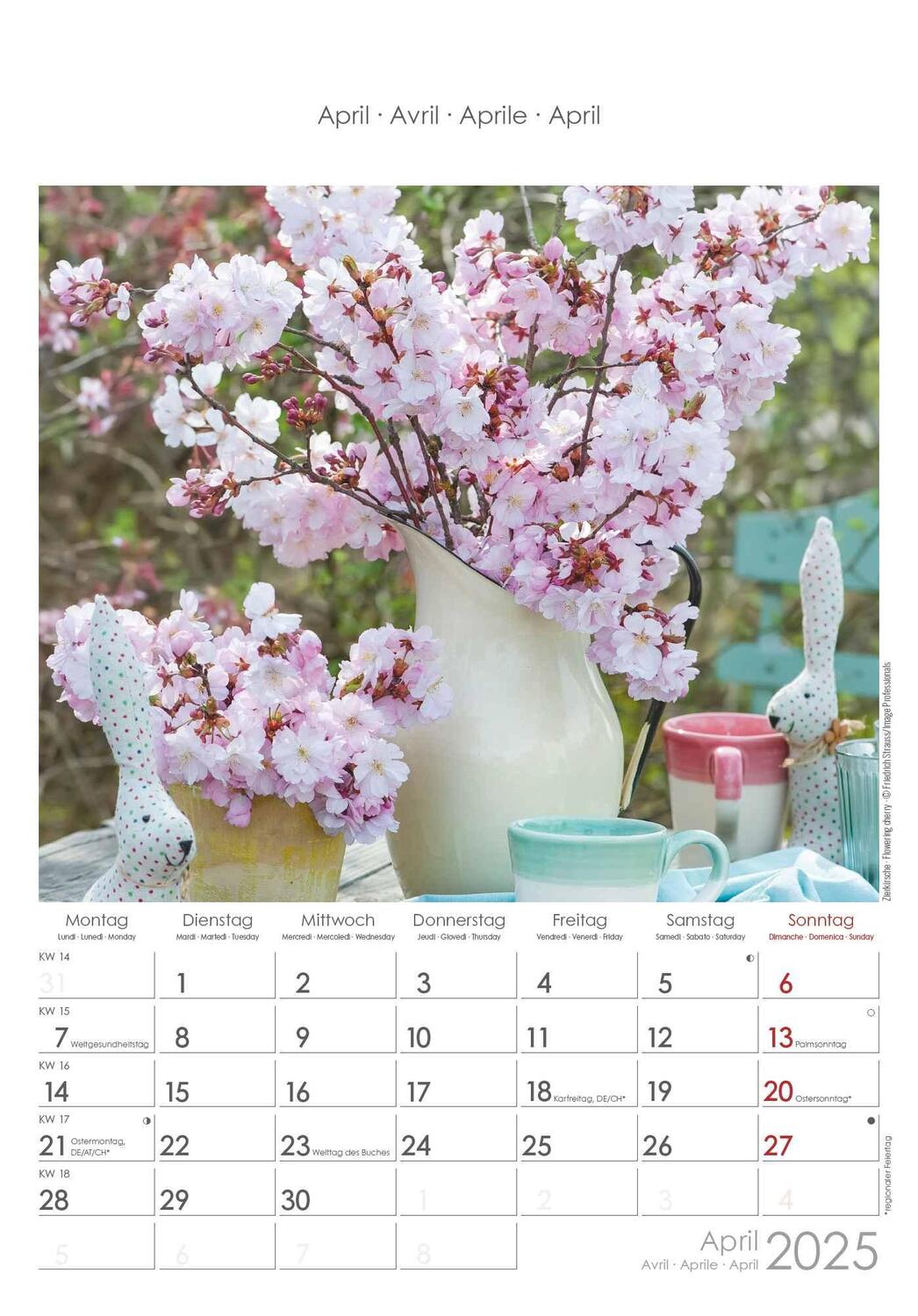 Bild: 4251732341008 | Blumen 2025 - Bildkalender 23,7x34 cm - Kalender mit Platz für...