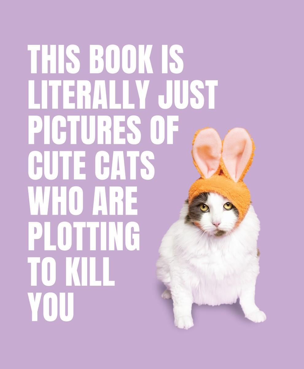 Cover: 9781923049321 | This Book is Literally Just Pictures of Cute Cats Who Are Plotting...