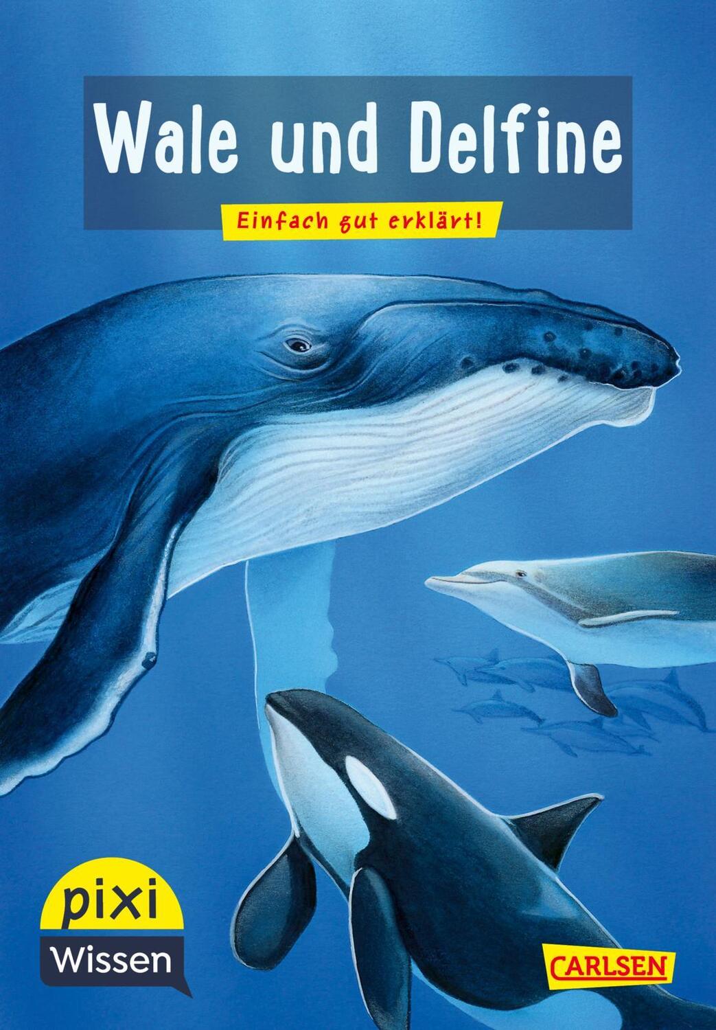 Cover: 9783551231703 | Pixi Wissen 8: VE 5 Wale und Delfine | Cordula Thörner | Taschenbuch