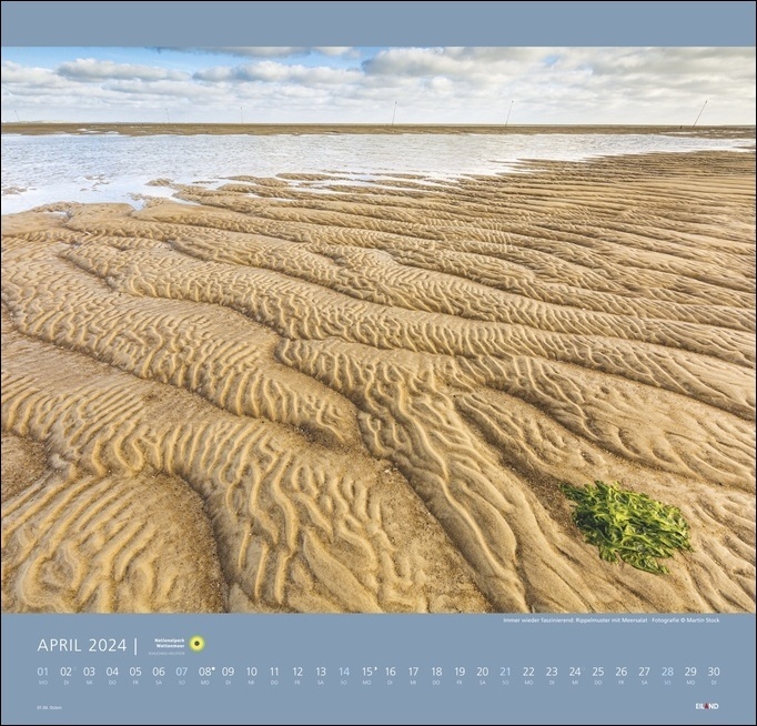 Bild: 9783964022714 | Nationalpark Wattenmeer Kalender 2024. Großer Foto-Wandkalender....