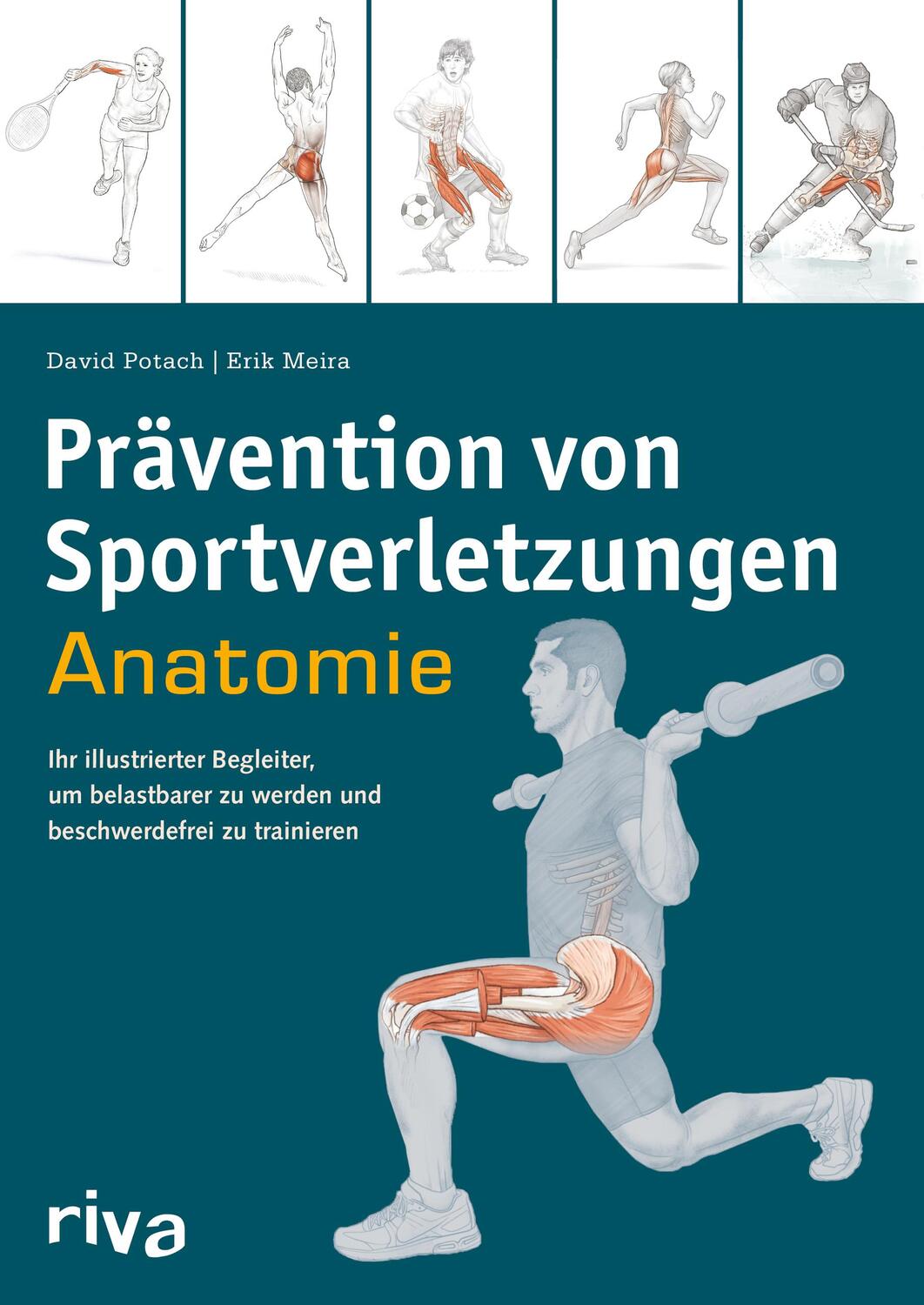 Cover: 9783742324047 | Prävention von Sportverletzungen - Anatomie | David Potach (u. a.)