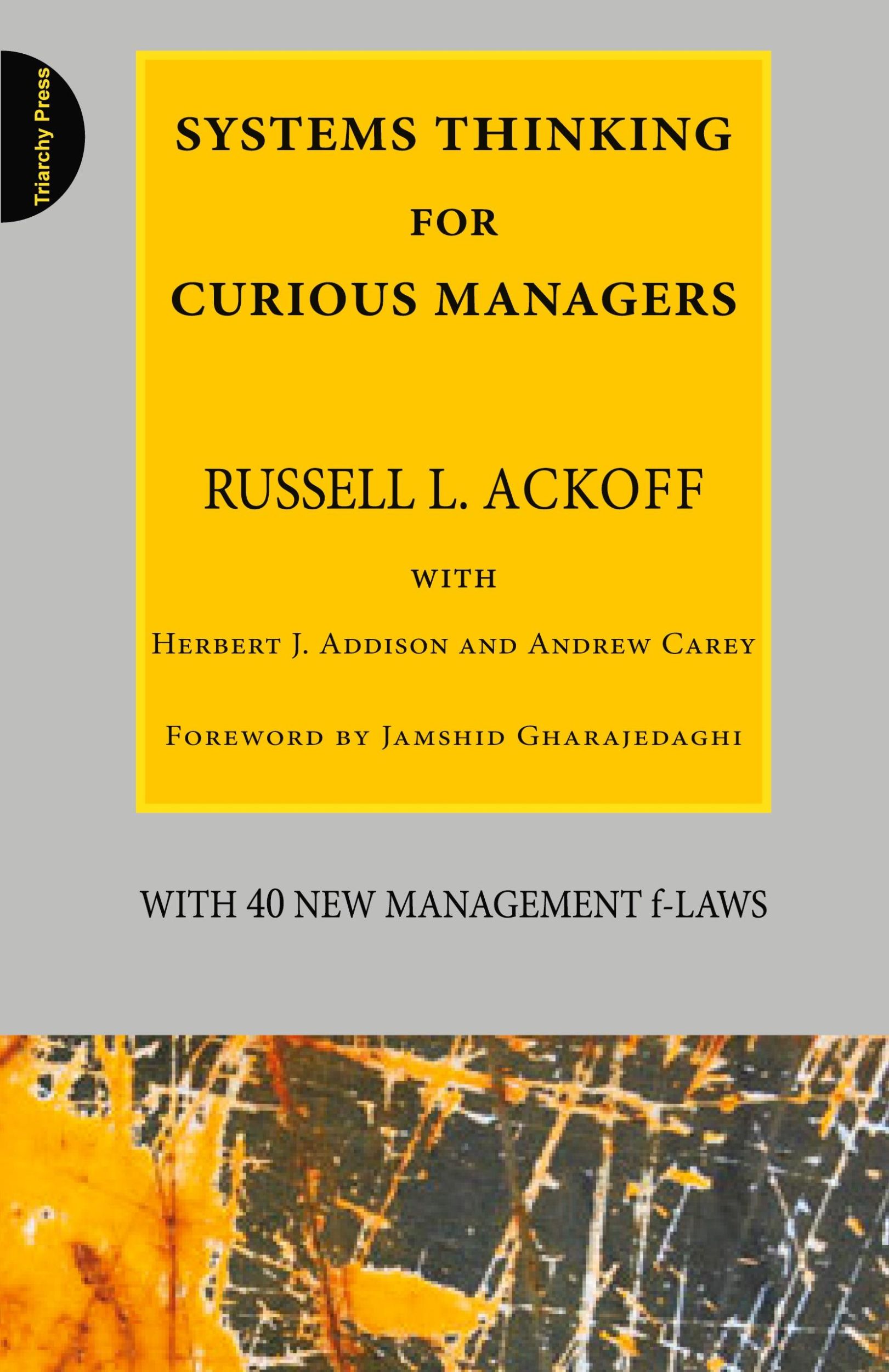 Cover: 9780956263155 | Systems Thinking for Curious Managers | With 40 New Management F-Laws