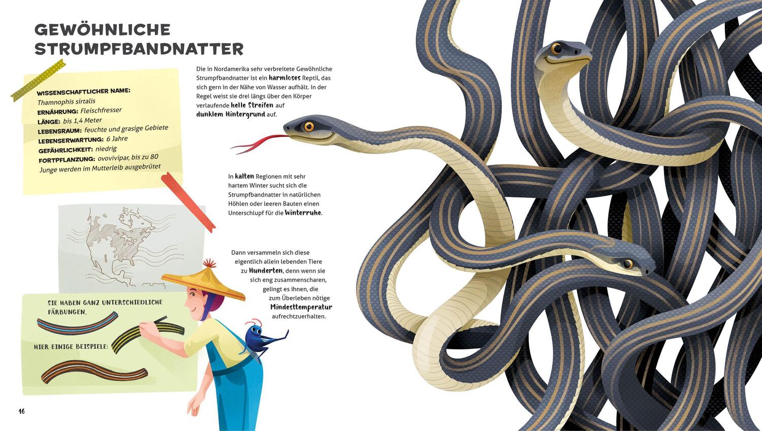 Bild: 9788863125030 | Besonders und wunderbar: Reptilien | National Geographic Kids | Banfi