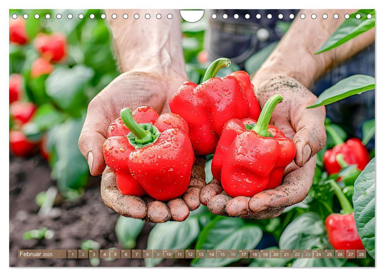 Bild: 9783383795572 | Mein Gemüsegarten - Ein Jahr knackig frisches Gemüse (Wandkalender...