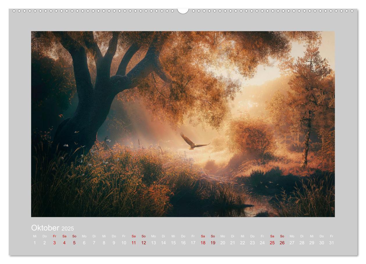 Bild: 9783383912801 | Wald der Märchen (Wandkalender 2025 DIN A2 quer), CALVENDO...