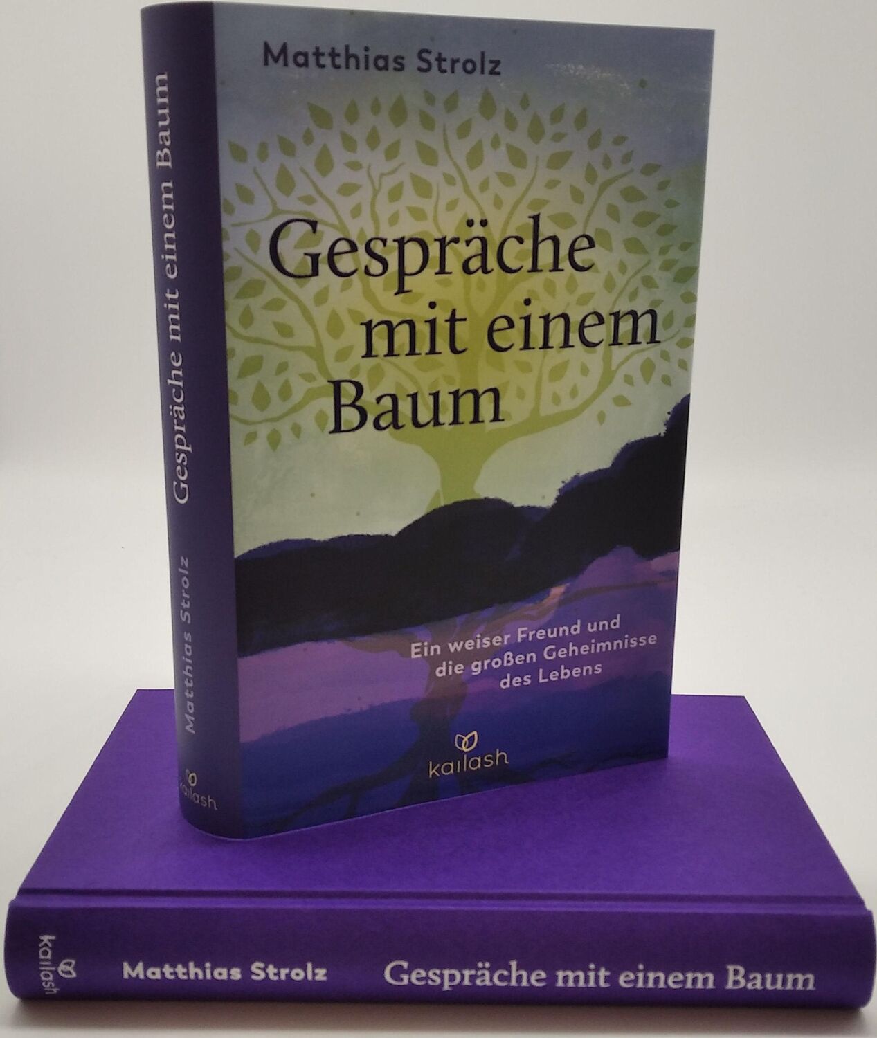 Bild: 9783424632255 | Gespräche mit einem Baum | Matthias Strolz | Buch | 272 S. | Deutsch