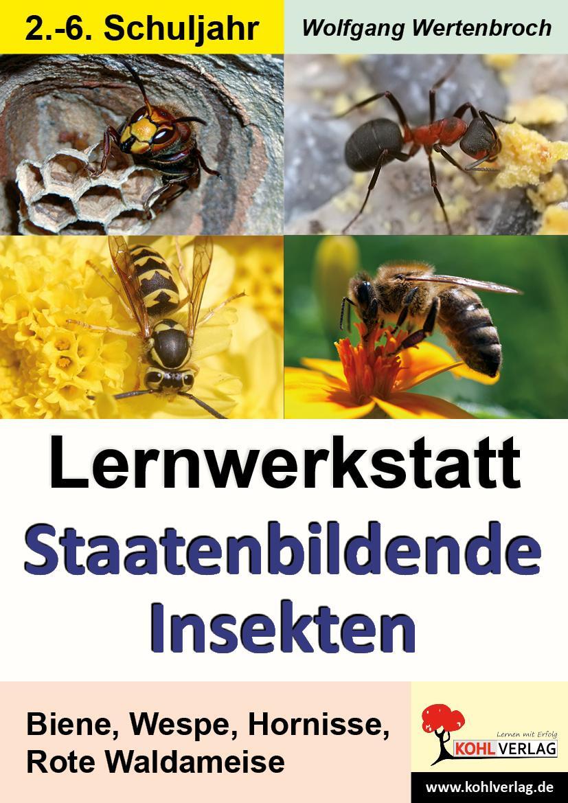 Cover: 9783866327948 | Lernwerkstatt - Staatenbildende Insekten | Bienen, Wespen und Ameisen
