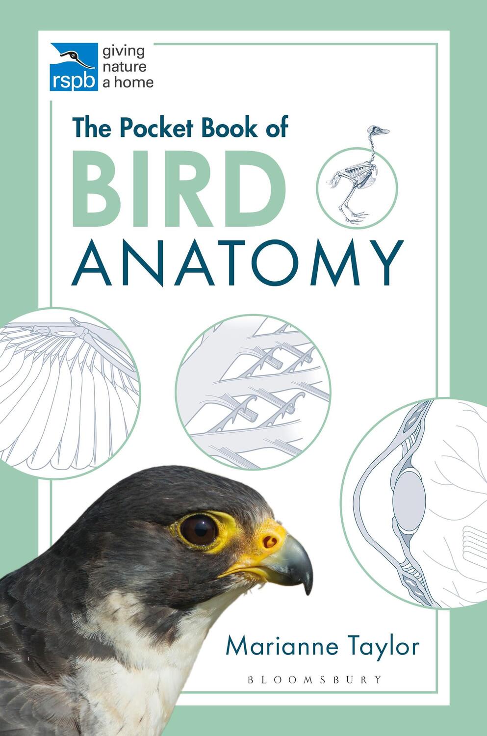 Cover: 9781472976925 | The Pocket Book of Bird Anatomy | Marianne Taylor | Taschenbuch | RSPB