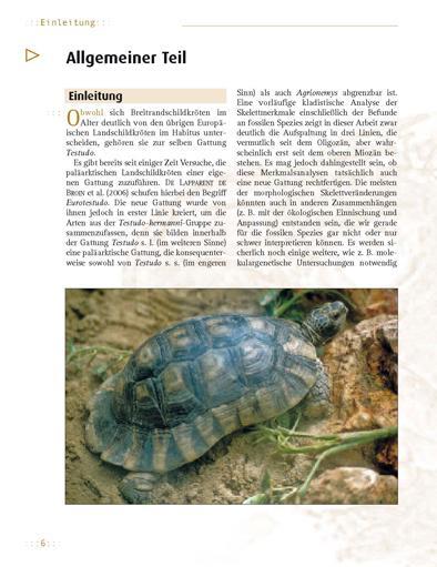 Bild: 9783937285467 | Breitrandschildkröte | Manfred Rogner | Taschenbuch | 112 S. | Deutsch