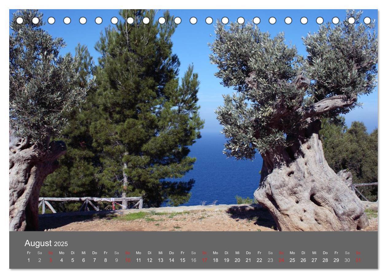 Bild: 9783435699780 | Trauminsel Mallorca (Tischkalender 2025 DIN A5 quer), CALVENDO...