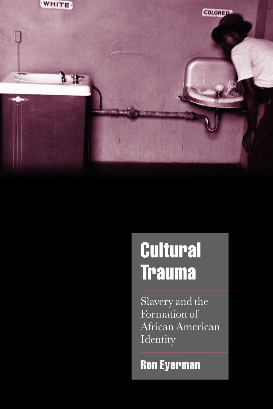 Cover: 9780521004374 | Cultural Trauma | Ron Eyerman | Taschenbuch | Paperback | Englisch