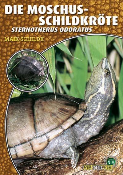 Cover: 9783937285344 | Die Moschusschildkröte | Sternotherus odoratus | Maik Schilde | Buch