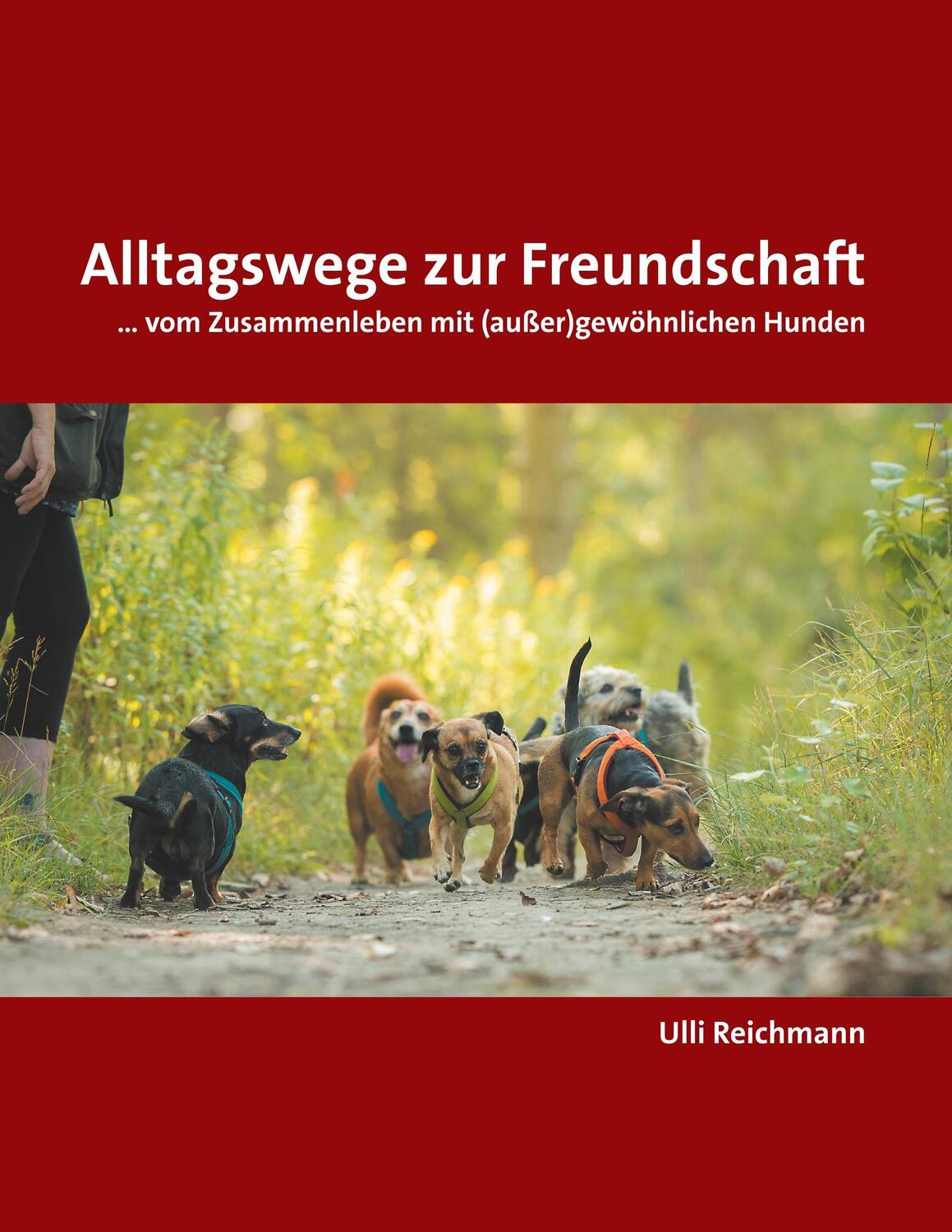 Cover: 9783744894166 | Alltagswege zur Freundschaft | Ulli Reichmann | Taschenbuch | 204 S.