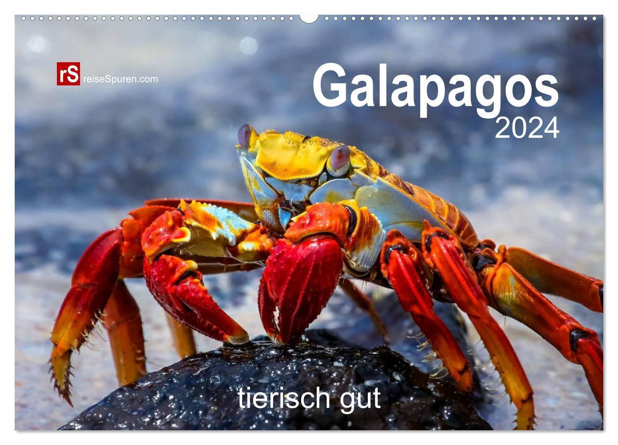 Cover: 9783675901032 | Galapagos 2024 tierisch gut (Wandkalender 2024 DIN A2 quer),...