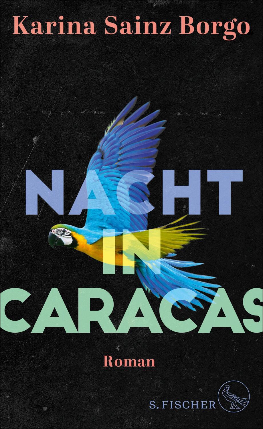 Cover: 9783103974614 | Nacht in Caracas | Roman | Karina Sainz Borgo | Buch | 224 S. | 2019