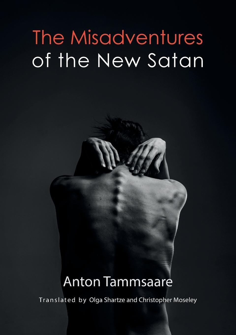 Cover: 9781909408432 | The Misadventures of the New Satan | Anton Tammsaare | Taschenbuch | B