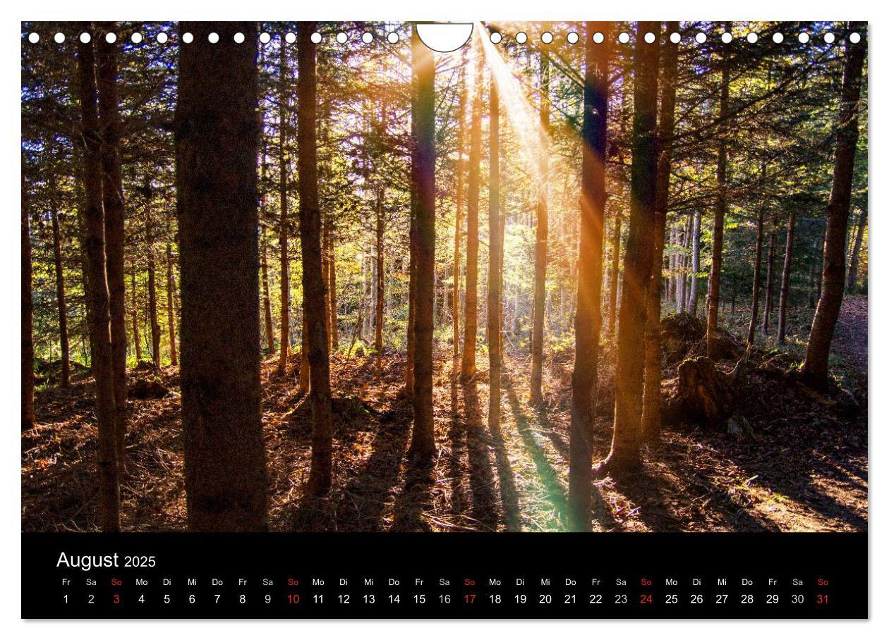 Bild: 9783435559268 | Allgäuer Impressionen (Wandkalender 2025 DIN A4 quer), CALVENDO...