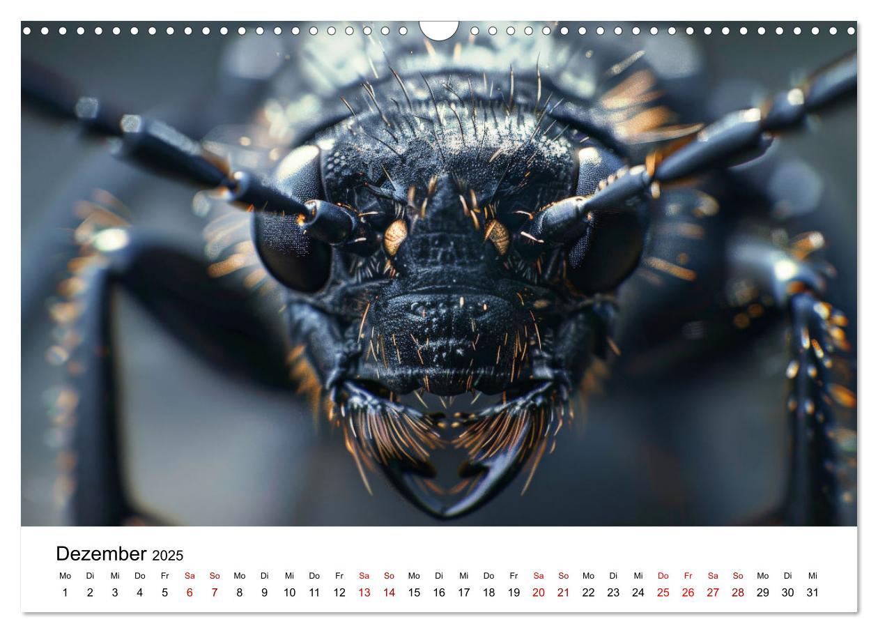 Bild: 9783383799754 | Insekten hautnah (Wandkalender 2025 DIN A3 quer), CALVENDO...