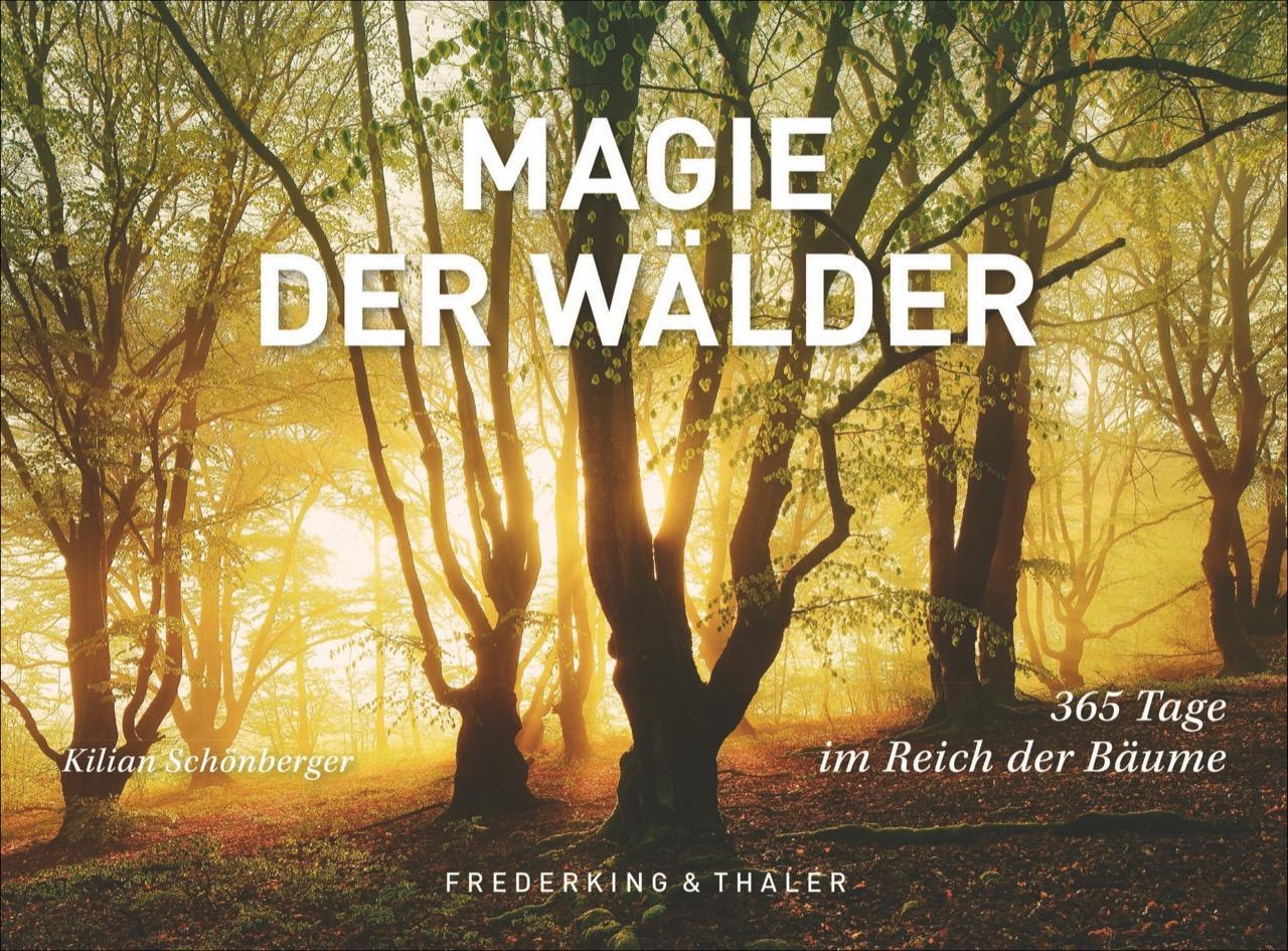 Cover: 9783954162628 | Tischaufsteller Magie der Wälder | 365 Tage im Reich der Bäume | Buch