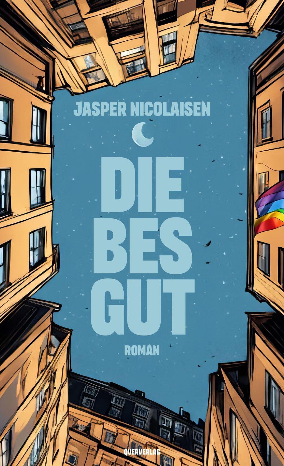 Cover: 9783896563422 | Diebesgut | Roman | Jasper Nicolaisen | Taschenbuch | 272 S. | Deutsch