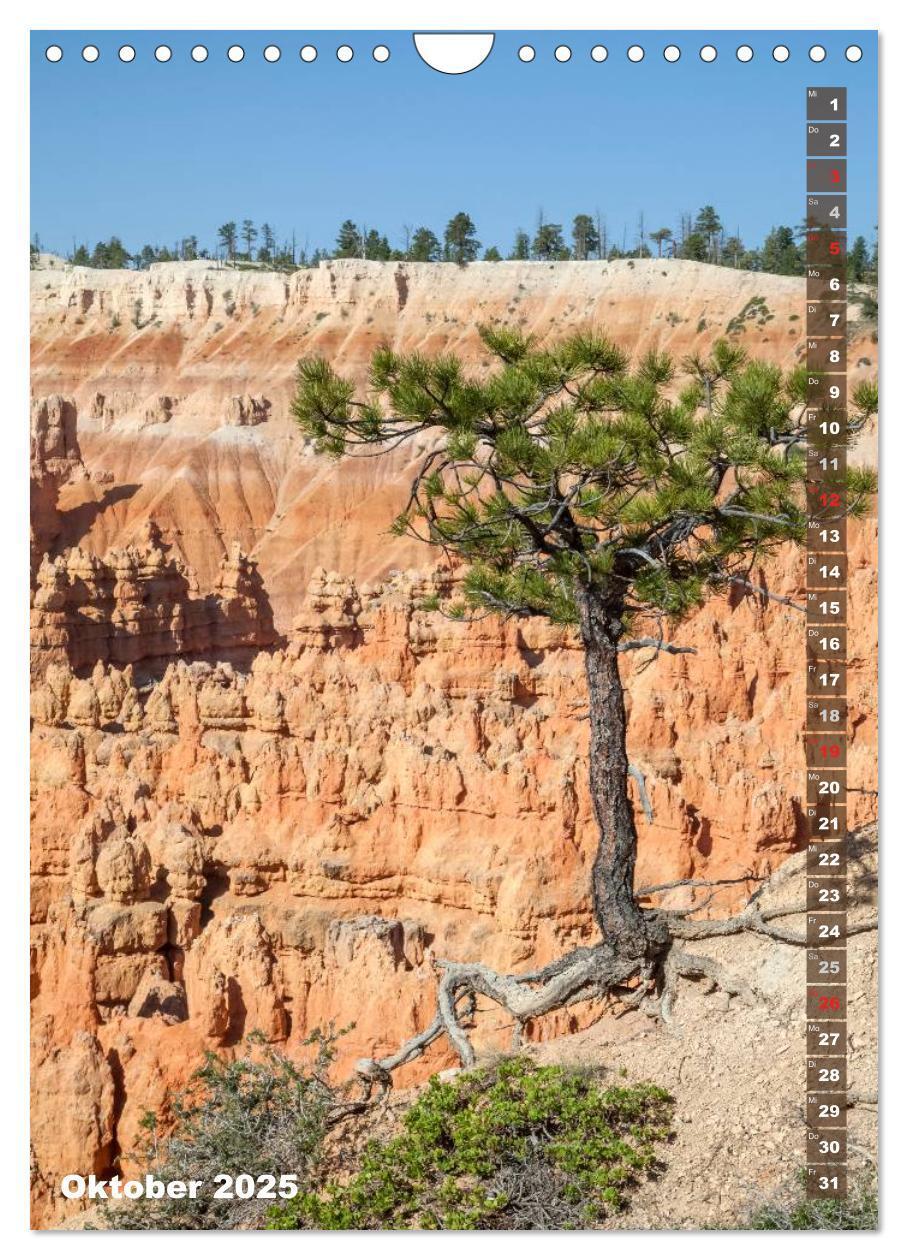 Bild: 9783435973507 | BRYCE CANYON Natur Pur (Wandkalender 2025 DIN A4 hoch), CALVENDO...