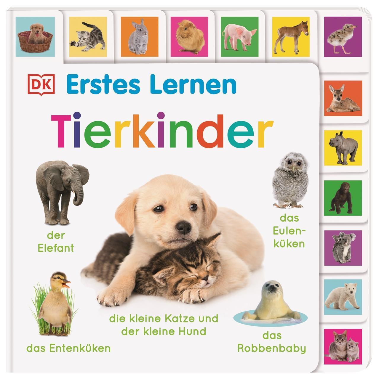 Cover: 9783831045624 | Erstes Lernen. Tierkinder | Buch | Erstes Lernen | Deutsch | 2022