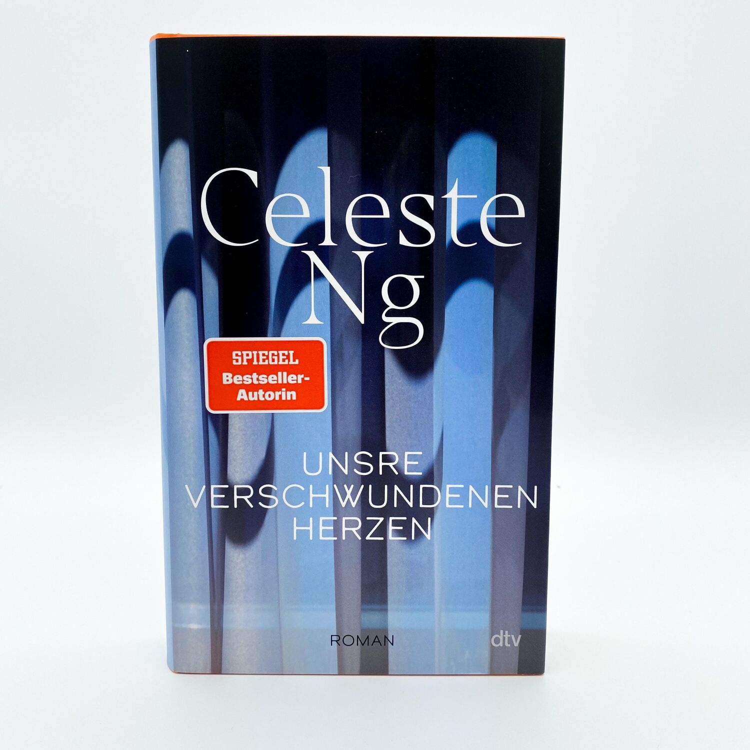 Bild: 9783423290357 | Unsre verschwundenen Herzen | Celeste Ng | Buch | 400 S. | Deutsch