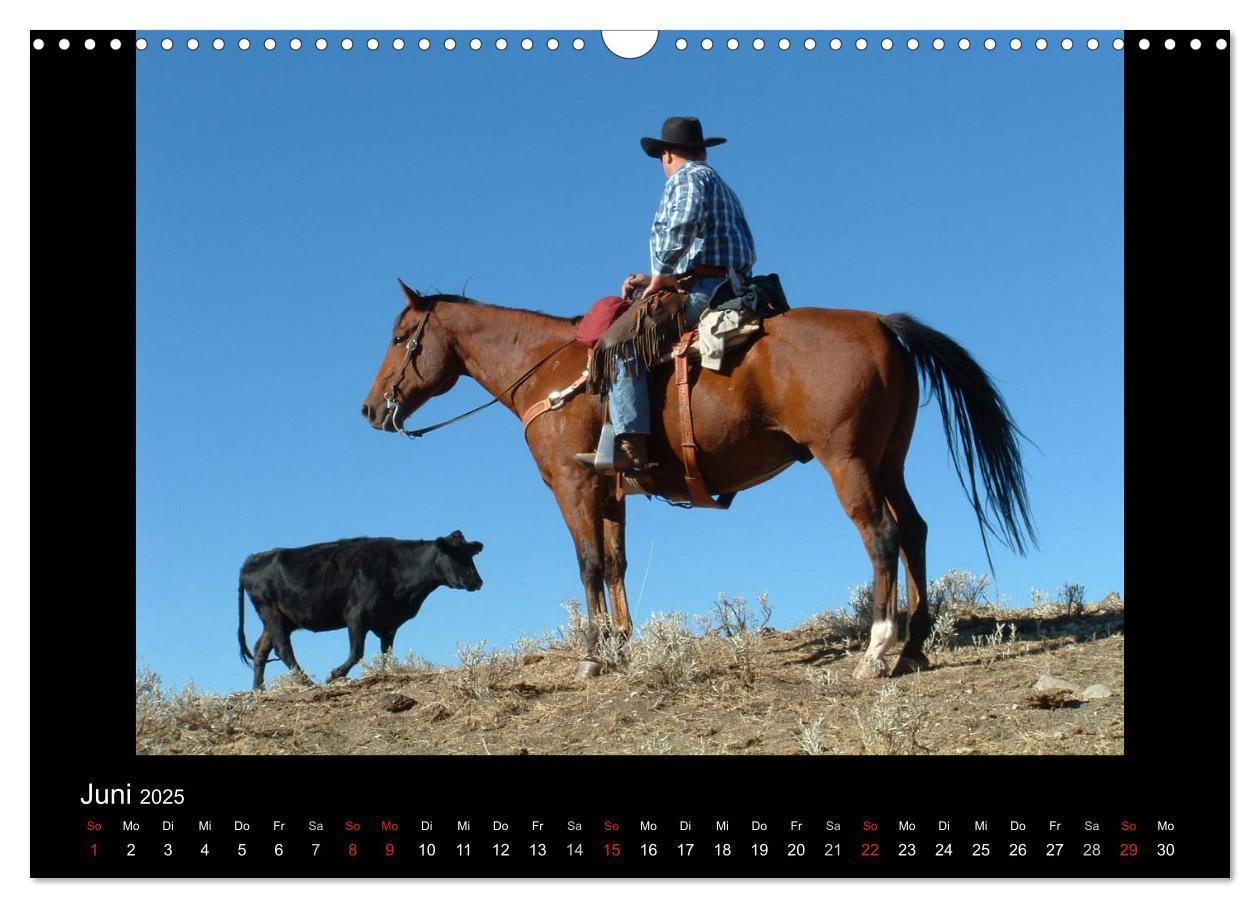 Bild: 9783435630394 | City Slickers - Ranchurlaub (Wandkalender 2025 DIN A3 quer),...