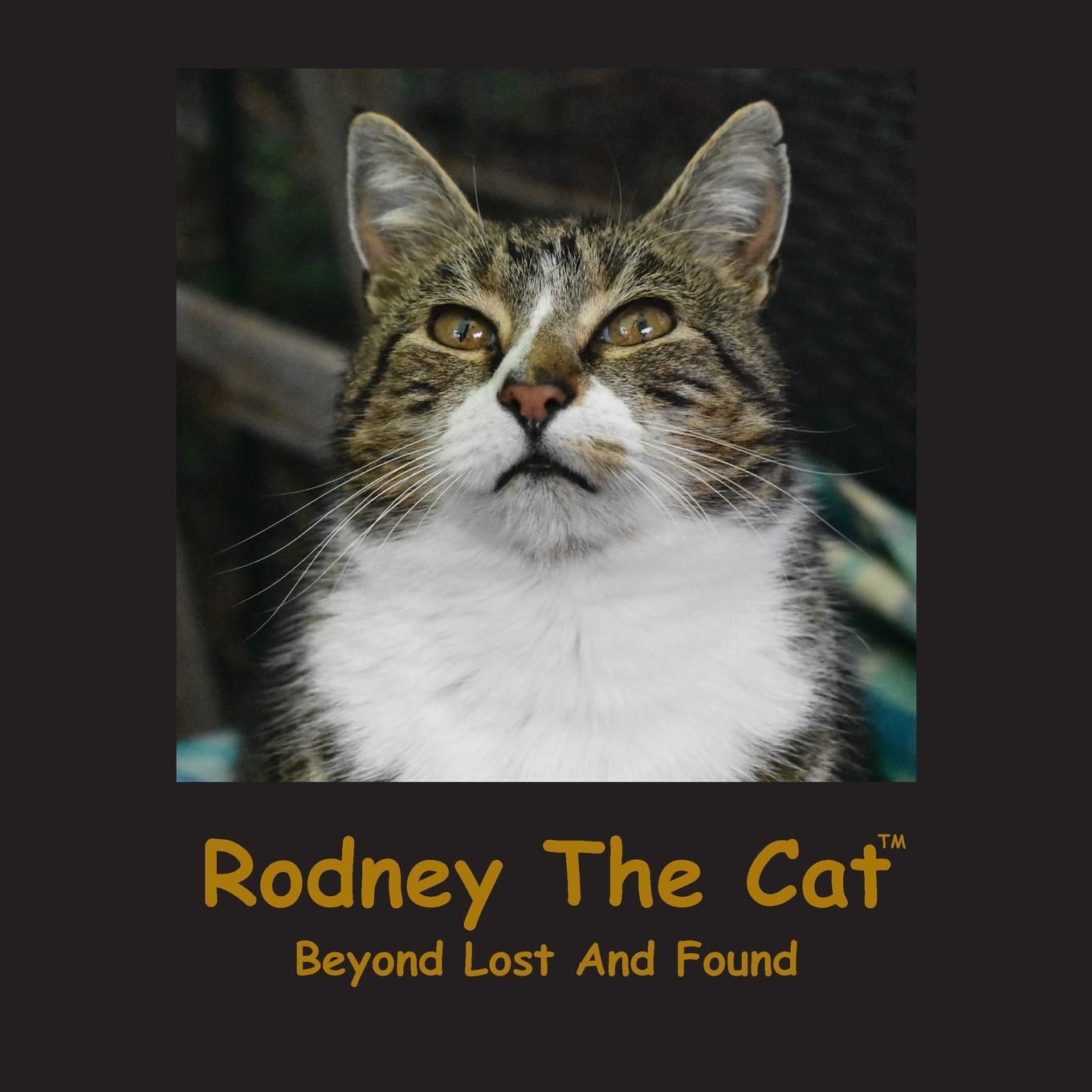 Cover: 9780473651732 | Rodney The Cat, Beyond Lost And Found | Linda Deane | Taschenbuch