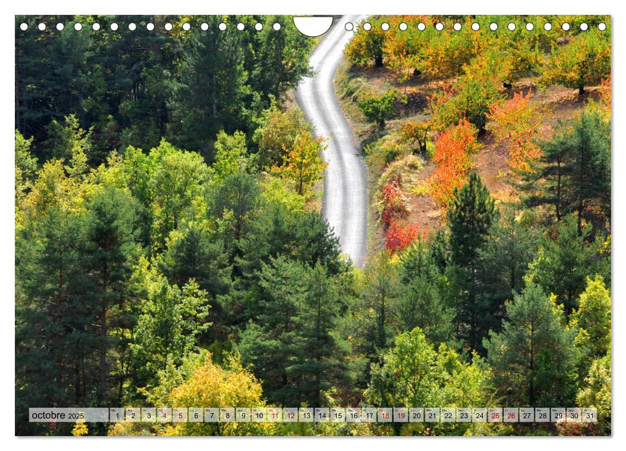 Bild: 9781325938544 | Au c¿ur de la forêt (Calendrier mural 2025 DIN A4 vertical),...