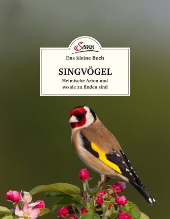 Cover: 9783710401749 | Das kleine Buch: Singvögel | Klaus Kamolz | Buch | 64 S. | Deutsch