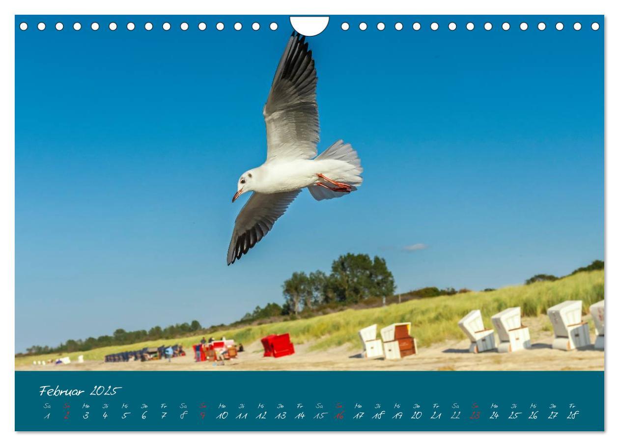 Bild: 9783435650149 | Blick auf die Halbinsel Fischland, Darß und Zingst (Wandkalender...