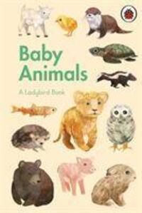 Cover: 9780241416907 | A Ladybird Book: Baby Animals | Buch | A Ladybird Book | Englisch