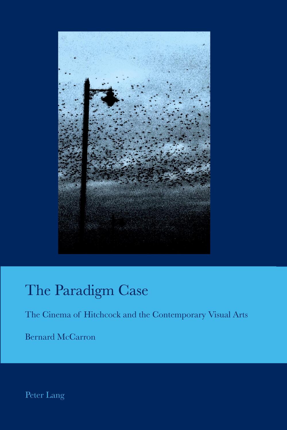 Cover: 9783034317801 | The Paradigm Case | Bernard McCarron | Taschenbuch | Paperback | 2015