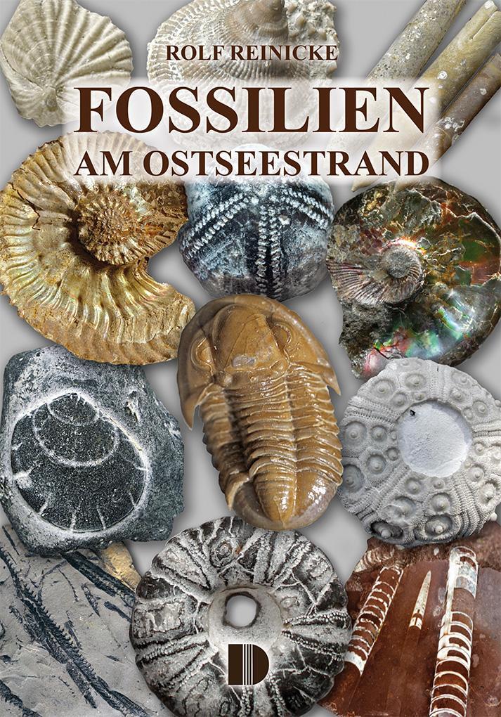 Cover: 9783944102689 | Fossilien am Ostseestrand | Rolf Reinicke | Taschenbuch | 80 S. | 2024