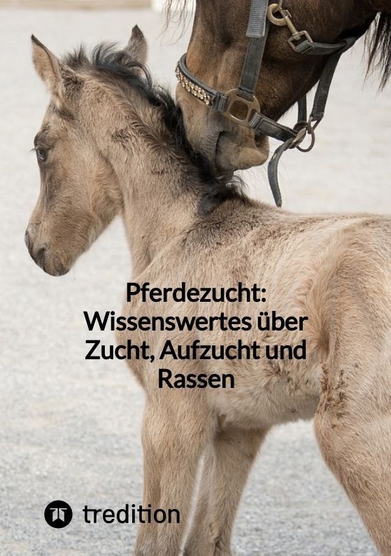 Cover: 9783347855281 | Pferdezucht: Wissenswertes über Zucht, Aufzucht und Rassen | Moritz