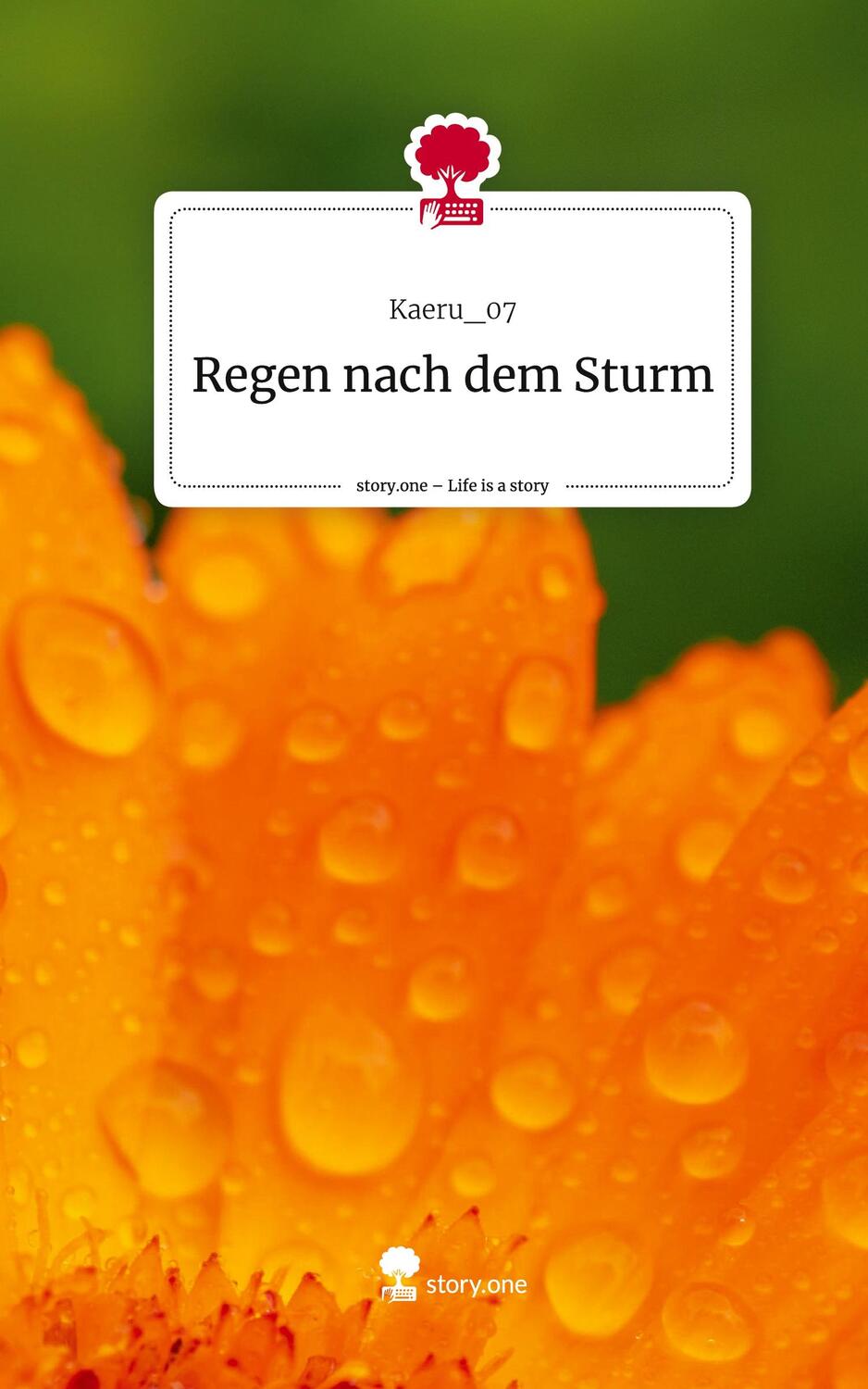 Cover: 9783711514387 | Regen nach dem Sturm. Life is a Story - story.one | Kaeru_07 | Buch