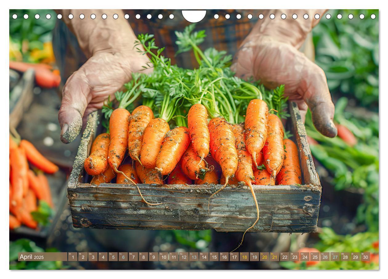 Bild: 9783383795572 | Mein Gemüsegarten - Ein Jahr knackig frisches Gemüse (Wandkalender...