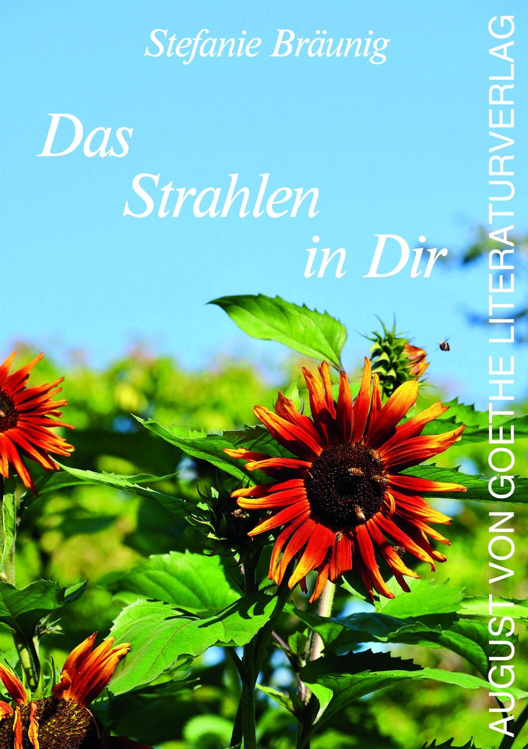 Cover: 9783837227642 | Das Strahlen in Dir | Gedichte und Kurzgeschichten | Stefanie Bräunig