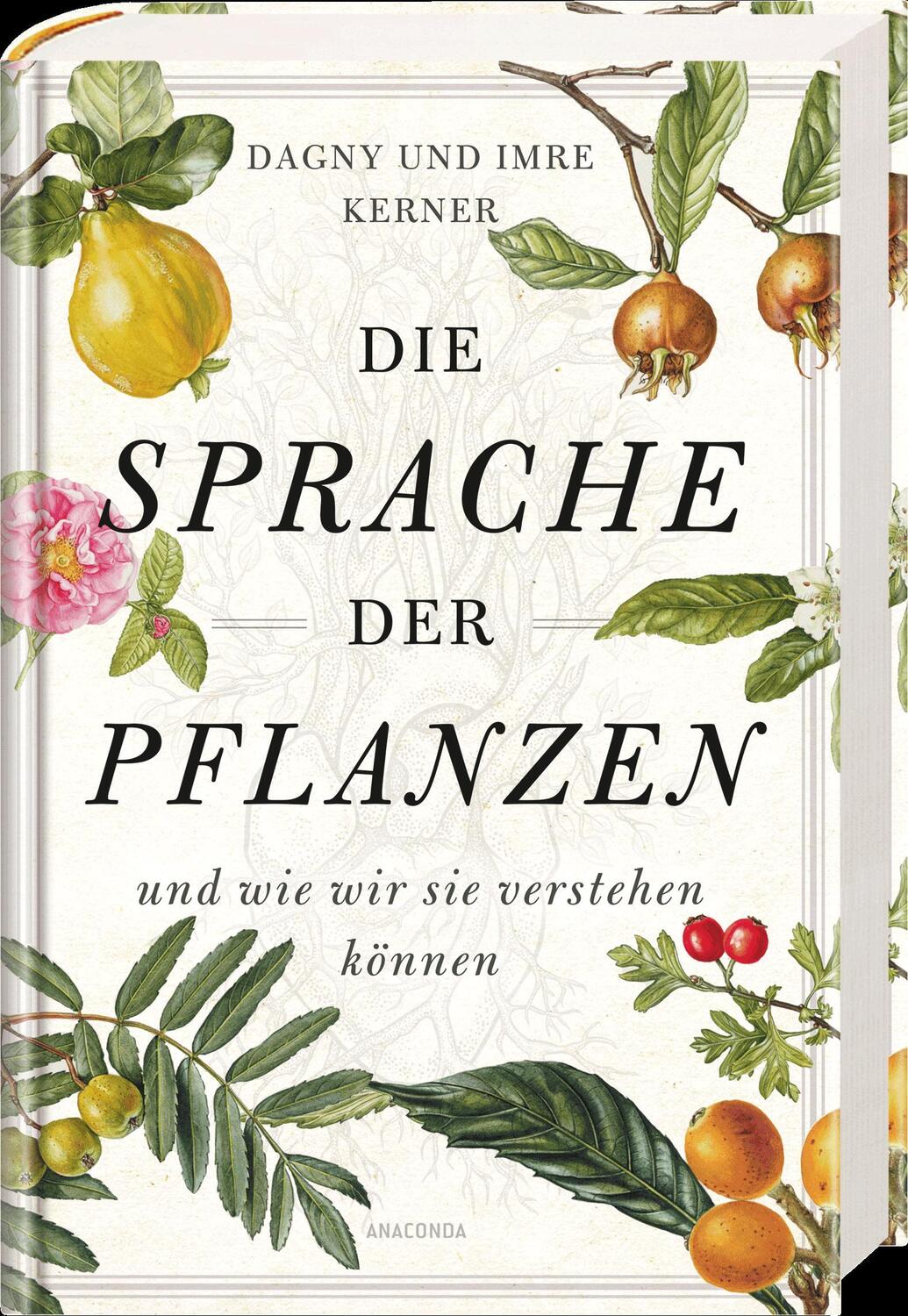 Bild: 9783730610084 | Die Sprache der Pflanzen | ... und wie wir sie verstehen können | Buch