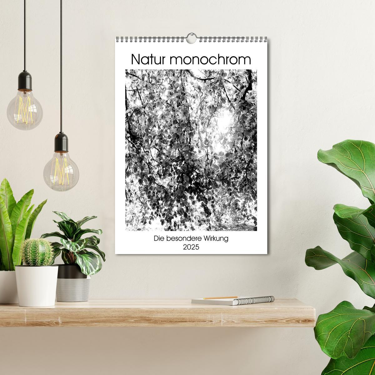 Bild: 9783435963089 | Natur monochrom Die besondere Wirkung (Wandkalender 2025 DIN A3...