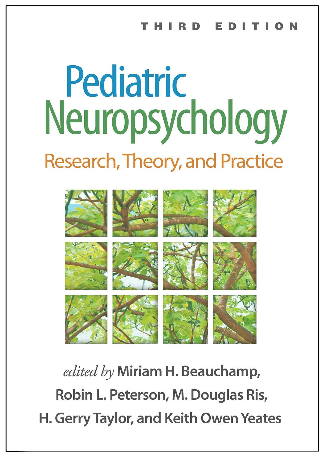 Cover: 9781462549443 | Pediatric Neuropsychology, Third Edition | H. Gerry Taylor (u. a.)