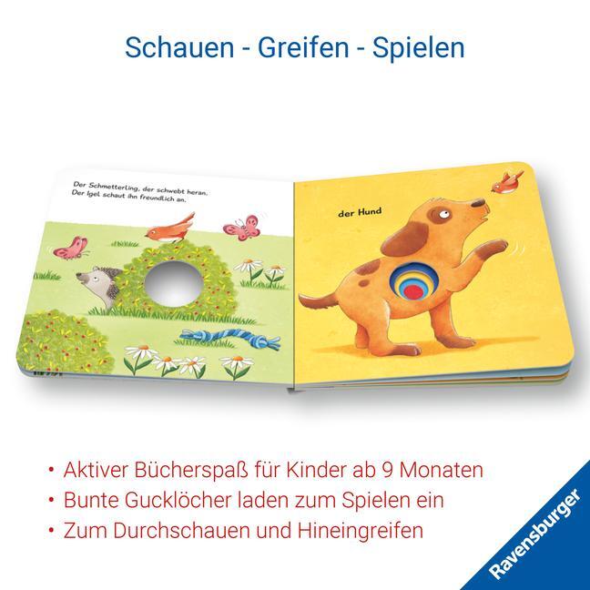 Bild: 9783473418633 | Viele kunterbunte Tiere | Bernd Penners | Buch | 16 S. | Deutsch