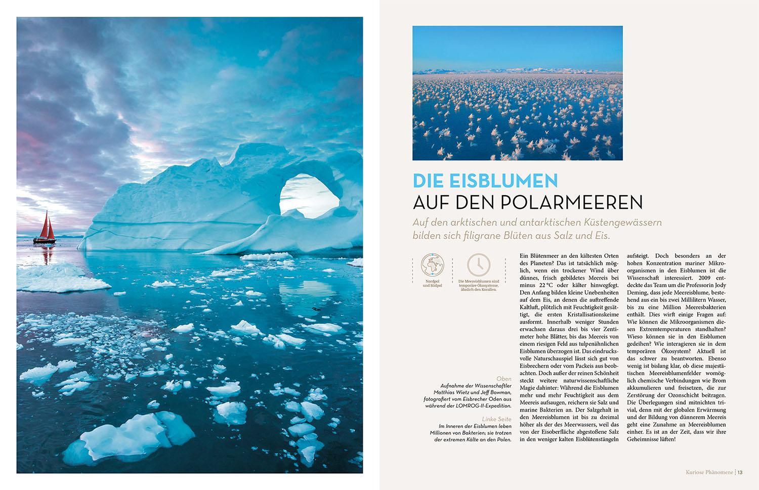Bild: 9783989040113 | Atlas der geheimnisvollen Ozeane | Ophelie Chavaroche | Buch | 256 S.