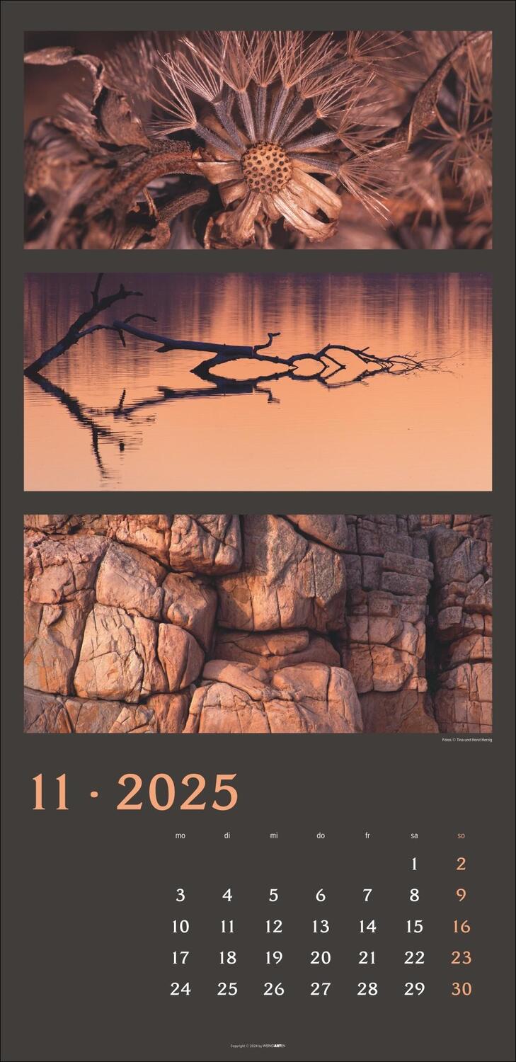 Bild: 9783839900635 | Die Farben der Natur Kalender 2025 | Kalender | Spiralbindung | 14 S.