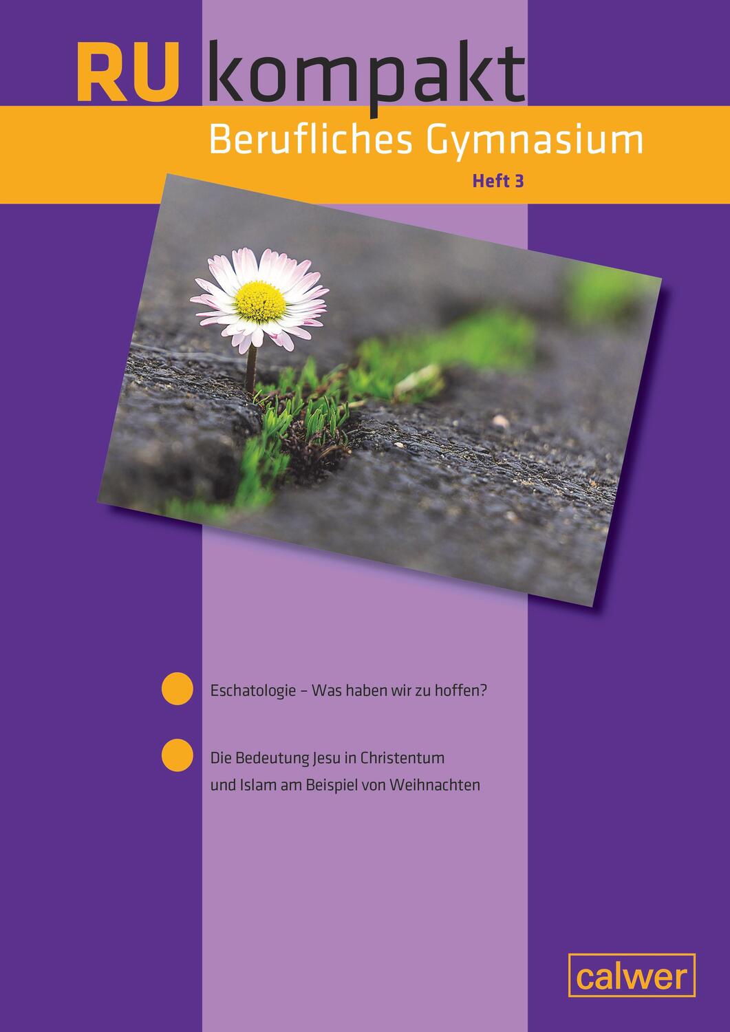 Cover: 9783766845917 | RU kompakt Berufliches Gymnasium Heft 3 | Andrea Chudaska (u. a.)
