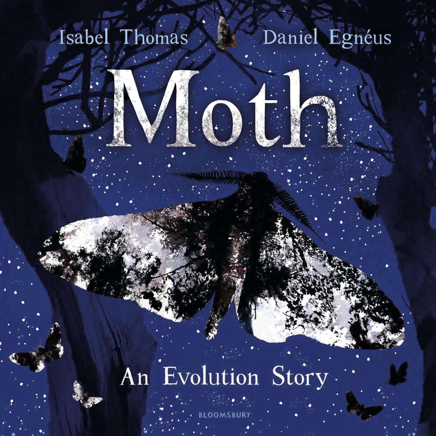 Cover: 9781526610553 | Moth | An Evolution Story | Isabel Thomas | Taschenbuch | Englisch